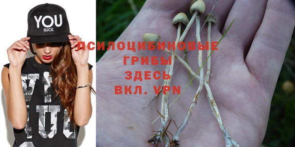 герыч Алзамай