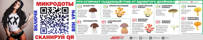 кракен ONION  цены наркотик  Новая Ладога  Галлюциногенные грибы Cubensis 